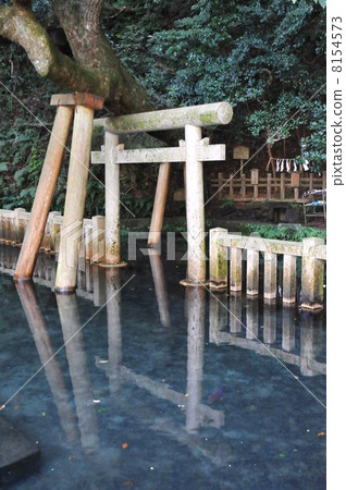 鹿島神社御手洗池塘 8154573