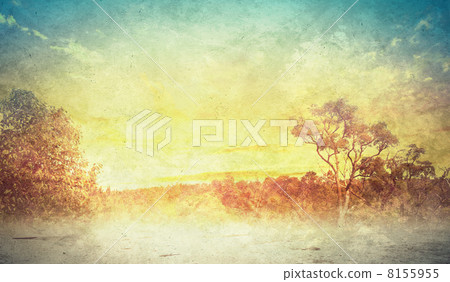 Forest landscape Forest landscape 8155955