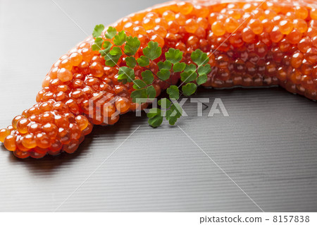 Raw salakers 8157838