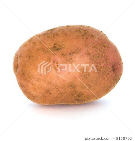 Potato Potato 8158792
