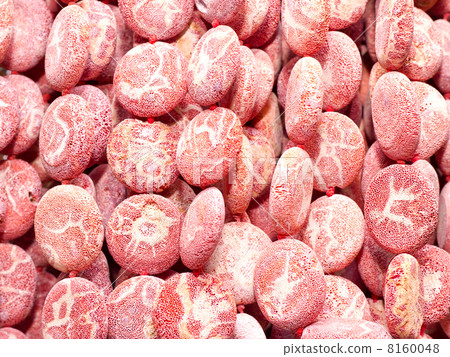 coral beads coral beads 8160048