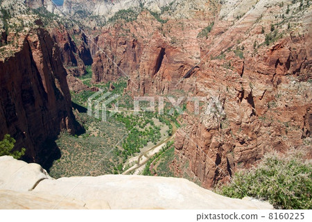 錫安國家公園 錫安國家公園 8160225