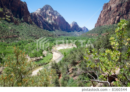 錫安國家公園 8160344