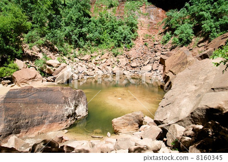 錫安國家公園 8160345