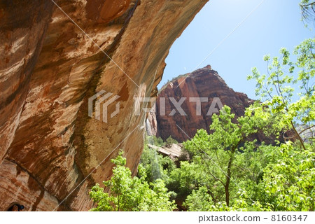 錫安國家公園 8160347