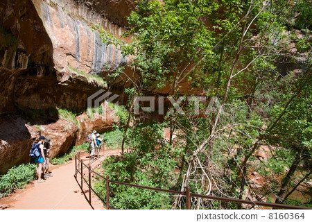 錫安國家公園 8160364