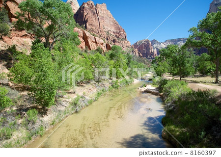 Zion National Park 8160397