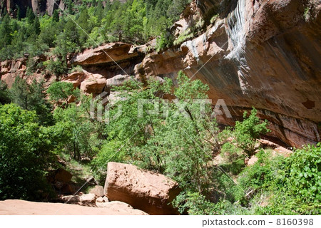 Zion National Park Zion National Park 8160398