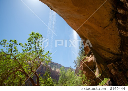 錫安國家公園 8160444