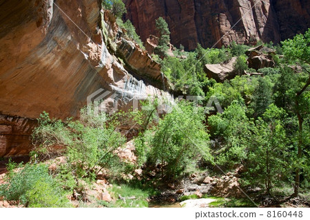 錫安國家公園 8160448