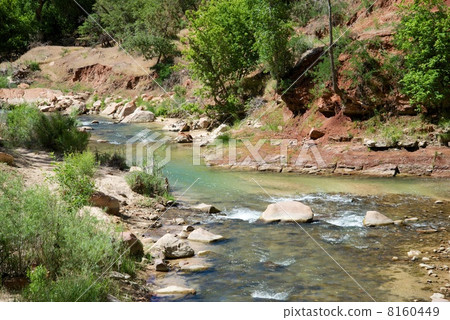 錫安國家公園 8160449