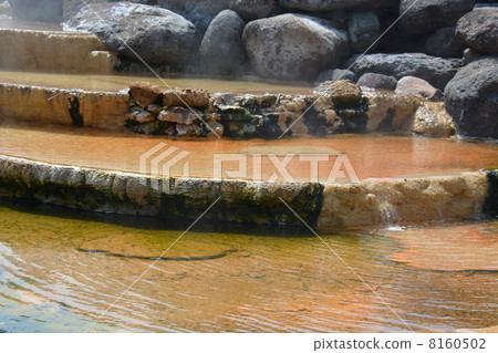 Genichi Obama 8160502