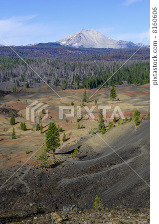 Colorful sand dunes and coniferous forests of volcanic gravels Colorful sand dunes and coniferous forests of volcanic gravels 8160606