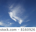 Cirrus 8160926