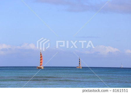 Catamaran at Waikiki Beach 8161551