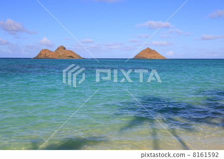 Lanikai Beach 8161592