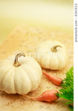 Pumpkin with carrot 8161613