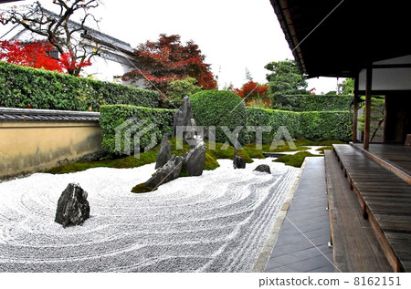 The autumnal leaves of the Kyoto Ruinin Garden 8162151