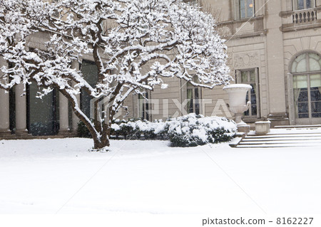 Winter in New York 8162227