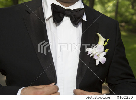 Wedding day. Groom . Wedding day. Groom . 8162230