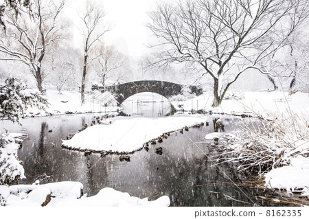 Winter in New York Winter in New York 8162335