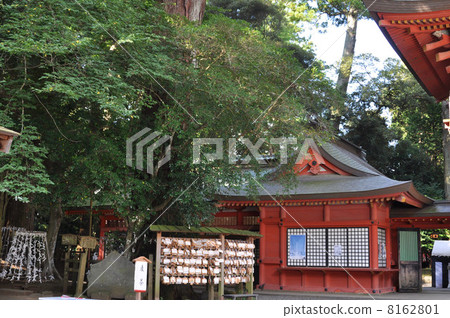 Kashima Jingu Shrine Kashima Jingu Shrine 8162801