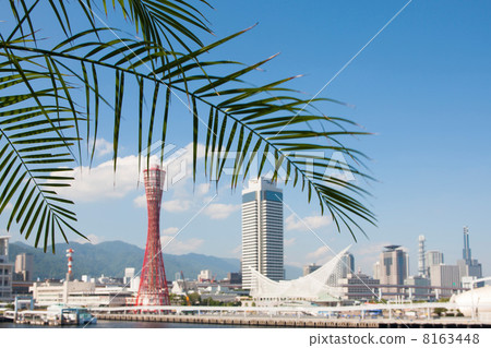 神戶市區 神戶市區 8163448