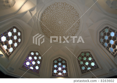 Topkap's ceiling 8163602