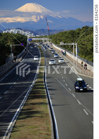 Route 134 and Mt. Fuji 8164256