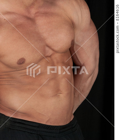 bodybuilder 8164616