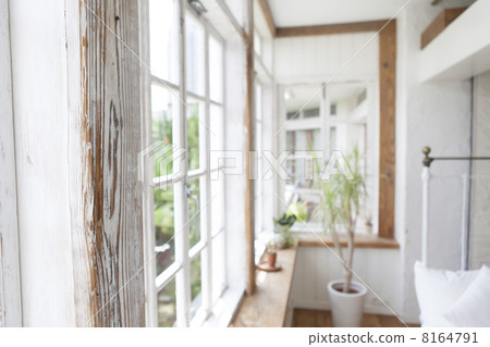 A window A window 8164791