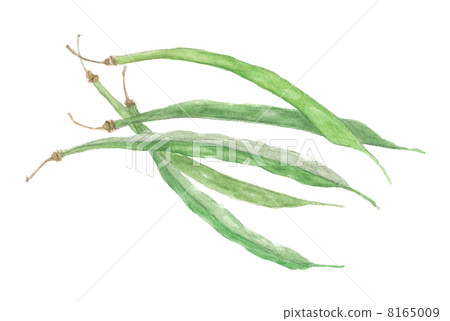 Trifree bean Trifree bean 8165009