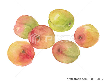 Ripe plum Ripe plum 8165012