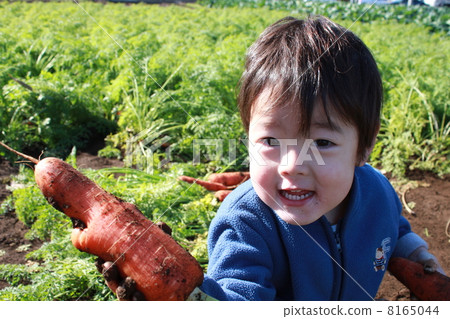 Carrot moat! Carrot moat! 8165044