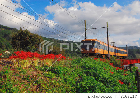 Autumn Oigawa Railway 8165127