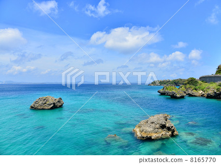 宜家島 8165770