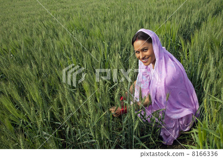 Portrait of an Indian female farm worker working in the field 8166336