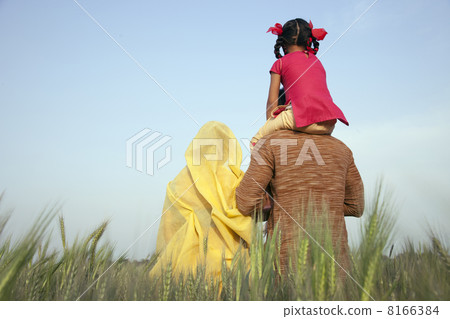 Rear view of rural family in the field Rear view of rural family in the field 8166384