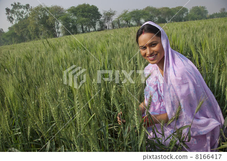 Portrait of a happy Indian female farm worker working in the field 8166417