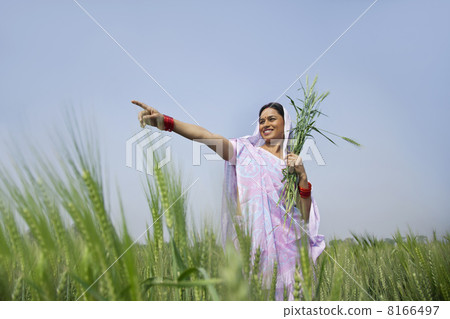 Low angle view of happy Indian female farm worker pointing at something Low angle view of happy Indian female farm worker pointing at something 8166497