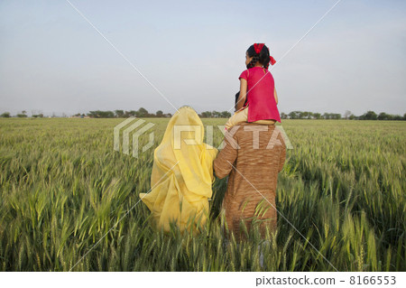 Rear view of rural family in an open field Rear view of rural family in an open field 8166553