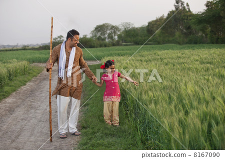Full length of little girl with her father in a wheat field 8167090
