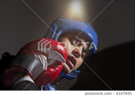 Boxer striking opponent 8167695
