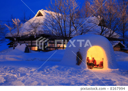 橫手鎌倉節 8167994