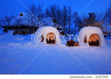 橫手鎌倉節 8167995