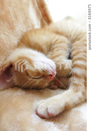Moments of bliss Moments of bliss 8168975