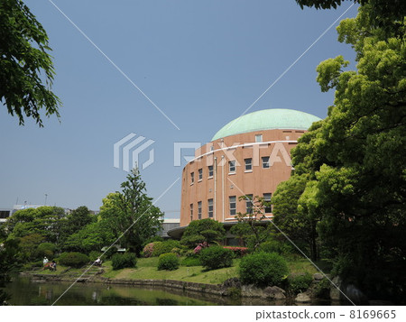 老安田花園 8169665