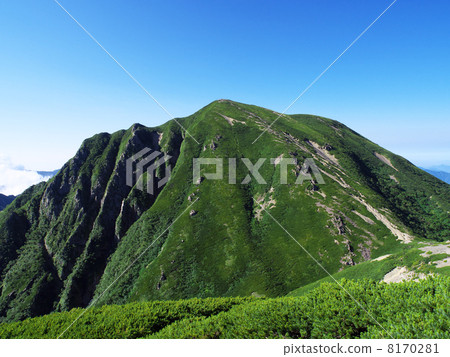 Musume-dake Musume-dake 8170281