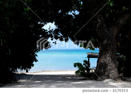 風景 景觀 景色 8170353