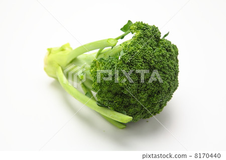 broccoli 8170440